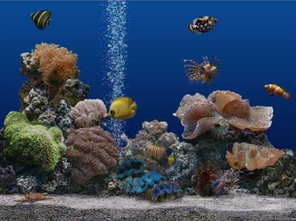 aquarium screensaver for mac